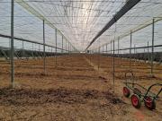 Finca rústica en Venta en Molvízar