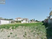 Finca rústica en Venta en Monteolivete Camino Sevilla