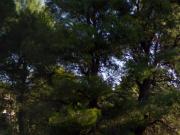 Finca rústica en Venta en Montornés Las Palmas El Refugio