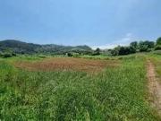 Finca rústica en Venta en Morón de la Frontera