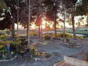 Finca rústica en Venta en Motril ciudad