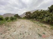 Finca rústica en Venta en Motril ciudad