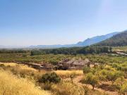 Finca rústica en Venta en Mula