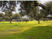 Casa chalet en Venta en Navalmoral de la Mata