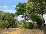Finca rústica en Venta en Nuevo Cáceres