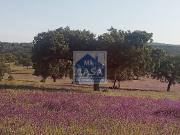 Finca rústica en Venta en Oliva de Mérida