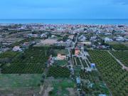 Finca rústica en Venta en Oliva pueblo