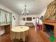 Finca rústica en Venta en Padul