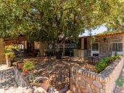 Finca rústica en Venta en Parque Atlántico Ronda este