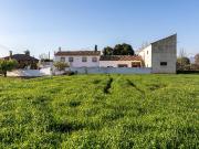 Finca rústica en Venta en Pedanias