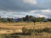 Casa chalet en Venta en Campus Universitario