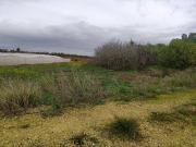 Finca rústica en Venta en Pelagatos Pago del Humo