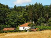 Finca rústica en Venta en Piñeiros Freixeiro