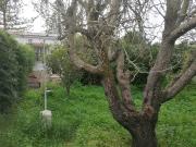 Finca rústica en Venta en Roche