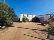 Finca rústica en Venta en Sa Pobla