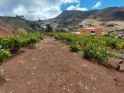 Finca rústica en Venta en San Cristóbal de La Laguna La...