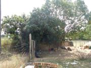 Finca rustica en Venta en Santa Coloma de Farners, Girona