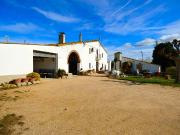 Finca rústica en Venta en Sils