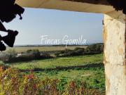 Finca rústica en Venta en Son Bou Sant Jaume