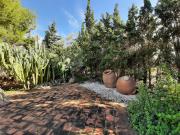 Finca rústica en Venta en Tercia