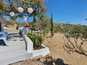 Finca rústica en Venta en Tolox