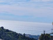 Finca rústica en Venta en Torrox Pueblo