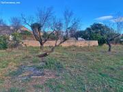 Finca rustica en Venta en Tortosa, Tarragona