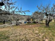 Finca rústica en Venta en Tudela de Duero