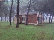 Finca rústica en Venta en Tudela de Duero