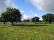 Finca rústica en Venta en Valdehúncar