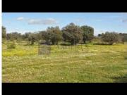Finca rústica en Venta en Valdesalor Rincón de Ballesteros