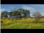 Finca rústica en Venta en Valdesalor Rincón de Ballesteros