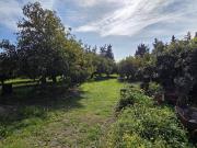 Finca rústica en Venta en Valtocado La Alquería La Atalaya