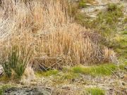 Finca rústica en Venta en Vélez Rubio