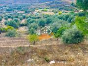 Finca rústica en Venta en Vélez Rubio