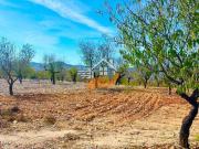 Finca rústica en Venta en Vélez Rubio