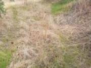 Finca rústica en Venta en Villacarrillo