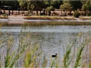 Finca rustica en Venta en Villafranca de los Caballeros,...