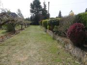Finca rustica en Venta en Villamuriel de Cerrato, Palencia