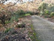 Finca rustica en Venta en Villanueva de la Vera, Cáceres