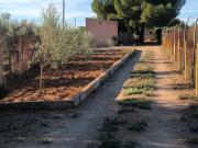 Finca rústica en Venta en Villanueva del Ariscal