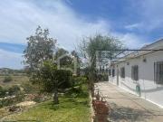 Finca rústica en Venta en Viña Málaga