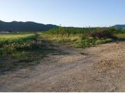 Finca rustica en Venta en Yecla, Murcia