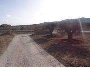 Finca rustica en Venta en Yecla, Murcia