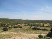 Finca rústica en venta. MORA DE RUBIELOS