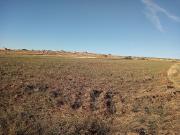 Finca rústica en venta. POZONDóN