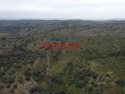 Finca rústica en Villar del Pedroso, Cáceres