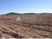 FINCA RUSTICA EN YECLA PINOSO