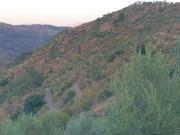 Finca Rústica en Yunquera