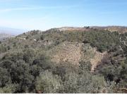 Finca rústica enclavada en el Parque Nacional de la...